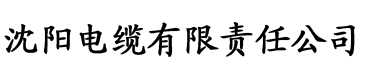 中文字幕乱码亚洲一区二区三区电缆厂logo